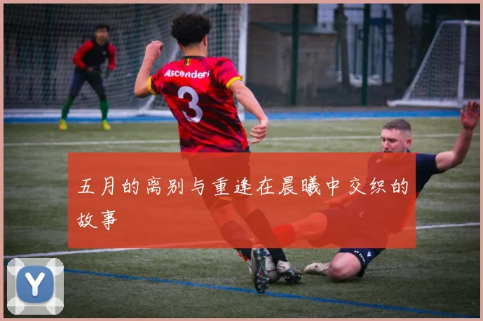 五月的离别与重逢在晨曦中交织的故事