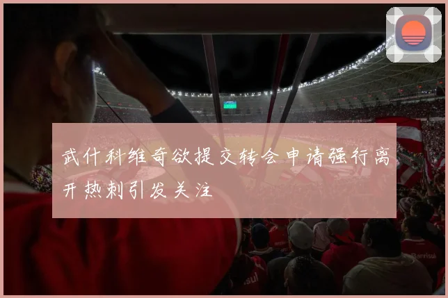 武什科维奇欲提交转会申请强行离开热刺引发关注