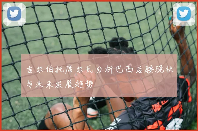 吉尔伯托席尔瓦分析巴西后腰现状与未来发展趋势