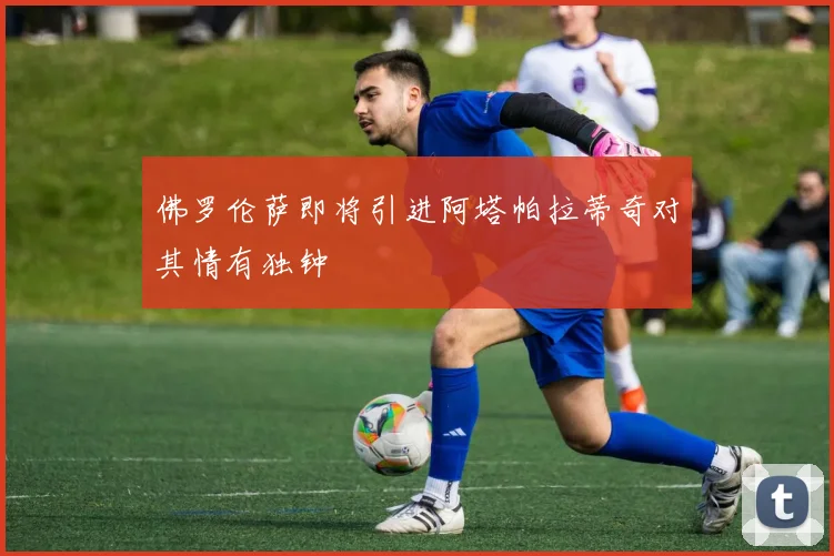 佛罗伦萨即将引进阿塔帕拉蒂奇对其情有独钟