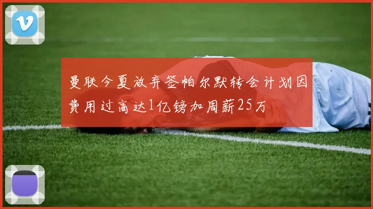 曼联今夏放弃签帕尔默转会计划因费用过高达1亿镑加周薪25万